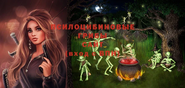 2c-b Лиски