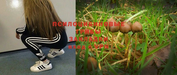 2c-b Лиски