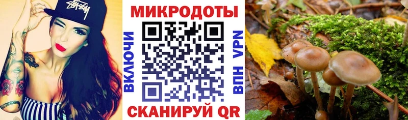 Купить  Долгопрудный  Галлюциногенные грибы мицелий 